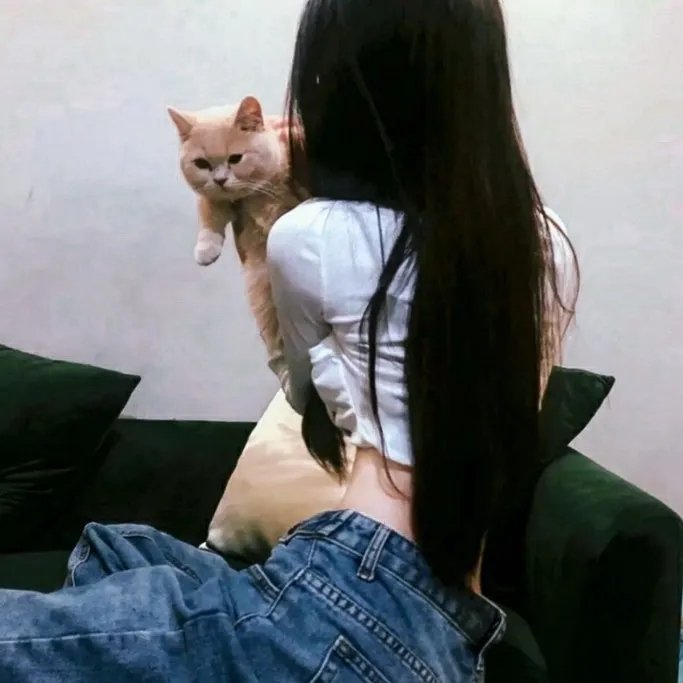 两万种蜜蜂 20.000